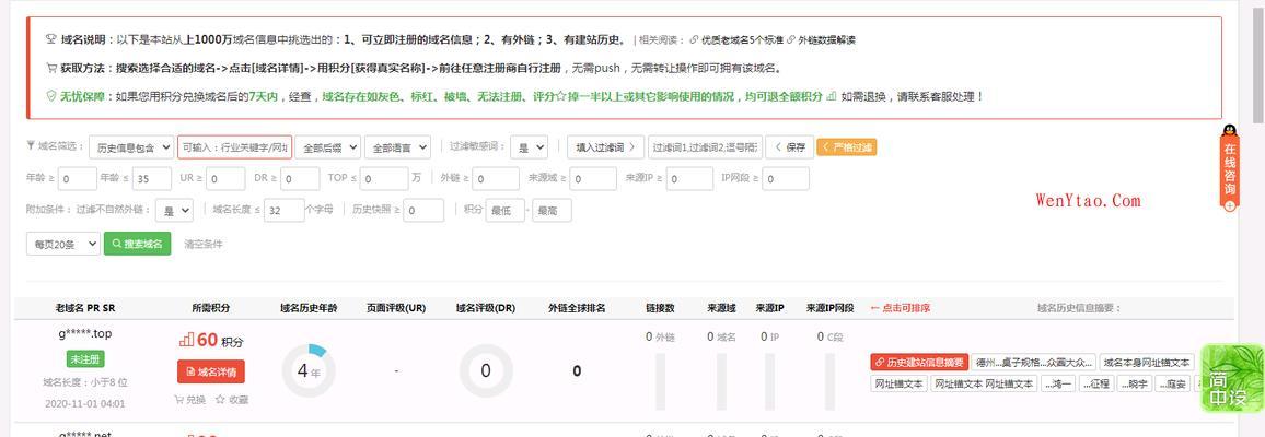 网站历史记录查询方法详解（掌握查询域名历史的技巧）