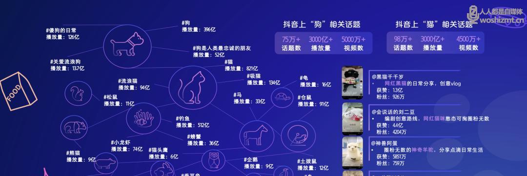 抖音阶梯发货功能是什么？如何使用和优化？