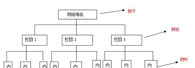 seo优化器如何使用？