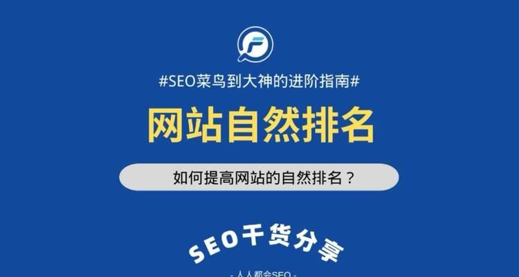 上海seo优化有哪些技巧？如何快速提升网站排名？