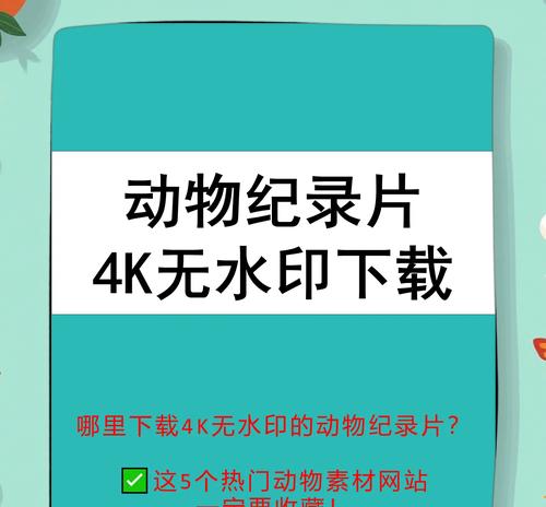 免费的视频素材网站有哪些？如何下载使用？