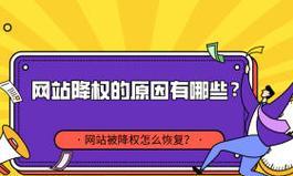 哪些行为会导致网站被搜索引擎降权？如何避免网站被降权？